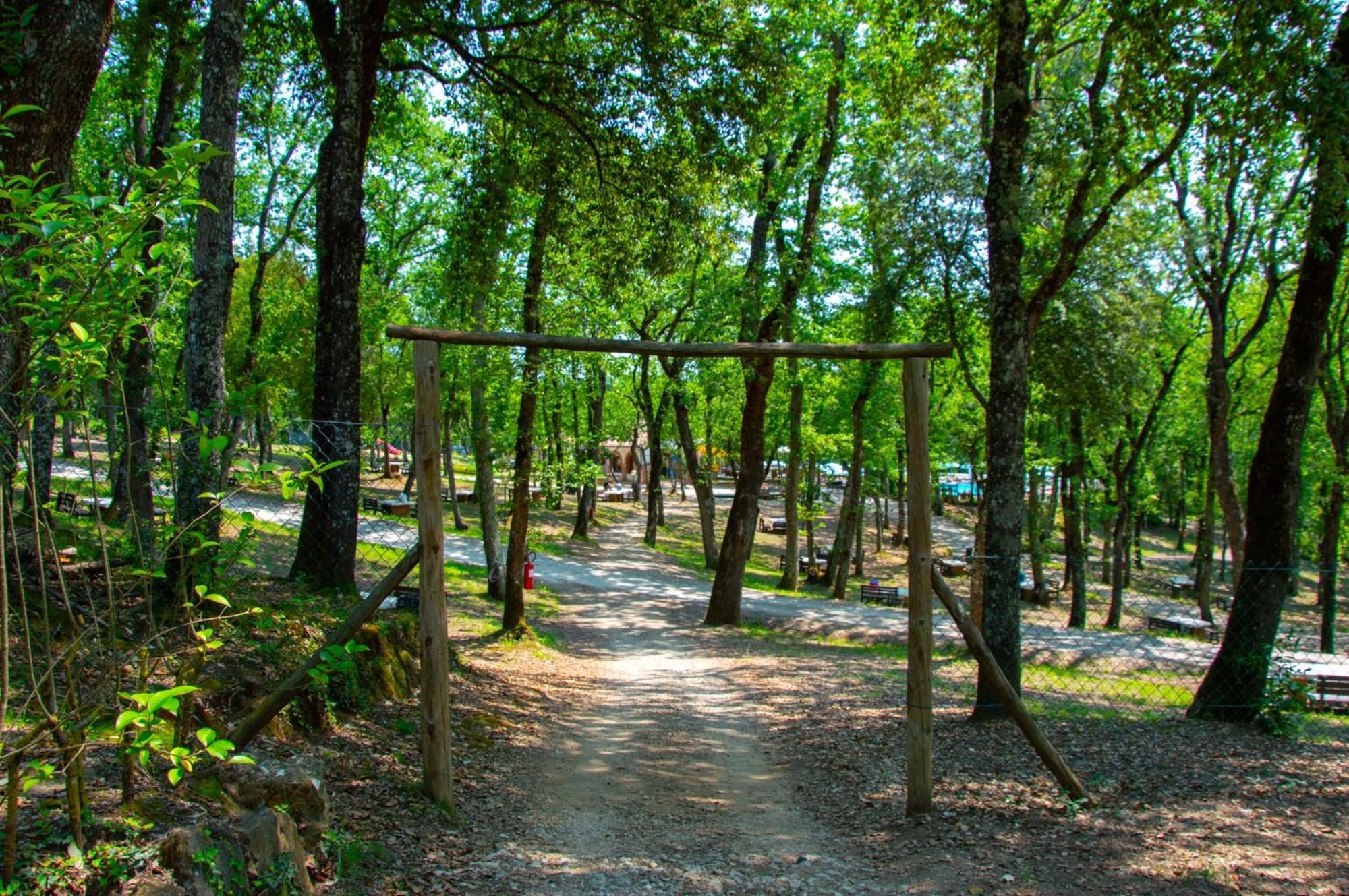 Luxor Chianti Glamping Village Кастелина ин Кианти Екстериор снимка